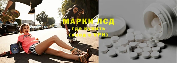 индика Беломорск