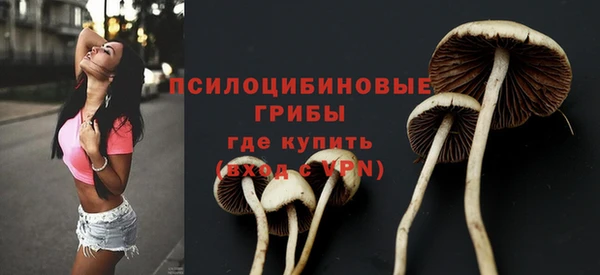 МДМА Белокуриха