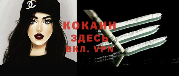 индика Беломорск