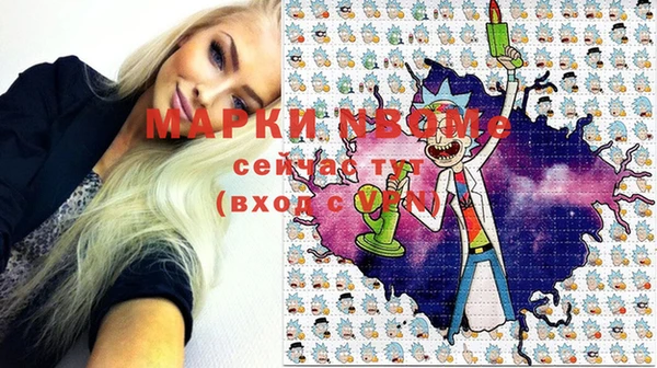 индика Беломорск
