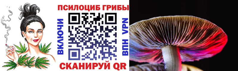 Купить где  Вяземский  Псилоцибиновые грибы Cubensis 